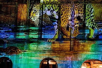 Uberlândia recebe Cerrado Mapping Festival com arte digital, consciência ambiental e experiências imersivas