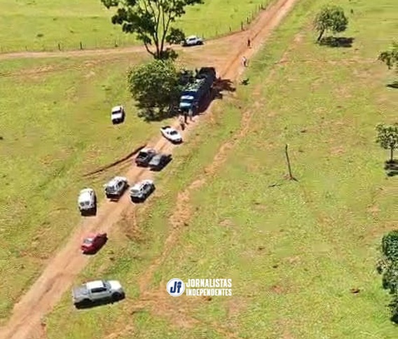 Polícia Militar de Uberlândia impede furto de 31 cabeças de gado na zona rural